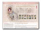 Fuks Zabierzowskie Wzgorza Australian Silky Terrier Stud-dog