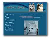 Silver Luck FCI Siberian Husky