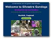 Silvestre Gundogs