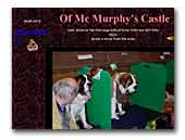 of McMurphy's Castle