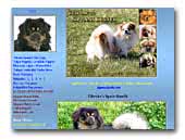 Sippans Kennel Tibetan Spaniel and Kleiner Münsterländer