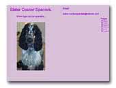 Slater Cocker Spaniels