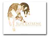 Whippet Slim Extreme FCI