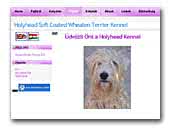 Holyhead Soft Coated Wheaten Terrier Kennel