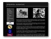 Spearhil Gundogs