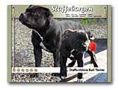 Staffeborgen