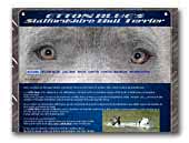Etton Blue's