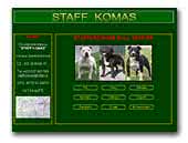 Staff Komas Staffordshire Bull Terrier