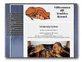 Tessidez Bloodhounds
