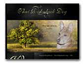 Thai Ridgeback kennel Plums'Jewel