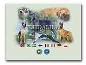 Thidalium Jack Russell Terrier