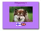 Thingummy's