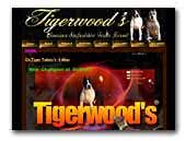  Tigerwood's American Staffordshire Terrier kennel