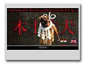 Tosaworld kennel