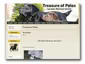 Treasure of Pelso Labrador Retriever Kennel