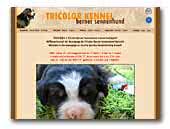 Berner Sennen Tricolor kennel
