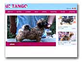 Ui Tango Lhasa Apso & Lowchens & Shih Tzus