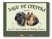 Vagu de Cervera Gos d'Atura Catalá & Bulldog Frances