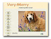 Very-Merry Apricot and Red Standard Poodle kennel