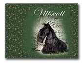 Vittscott Scottish Terriers