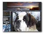 vom St. Gallenwald Kennel