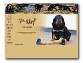 Gordon Setter von der wilden Horde