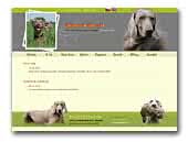 Bohemia Barrozi Weimaraner FCI kennel
