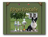 Virgo Vestalis Welsh Corgi Cardigan