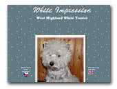 White Impression