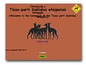 Tisza-parti Szélvész whippets