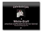 White-Staff amtaff kennel
