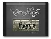 Whititera Mastiffs