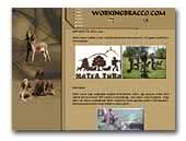 workingbracco.com