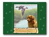 z Dejzyna Dvora Nova Scotia Duck Tolling Retrievers
