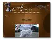 Allandars Kennel - German Shorthaired Pointers