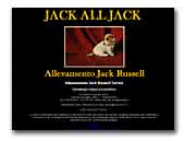 Jack All Jack Allevamento Jack Russell Terrier