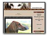 AlflaiLawalaila Saluki Kennel