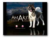 Amakita American Akitas