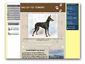 Amalek English Toy Terriers