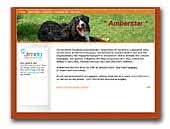 Amberstar Bernese Mountain Dogs