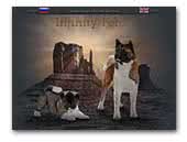 Infinity Force American Akitas Kennel