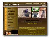 chovatelská stanice Jogešáma - Mastiff