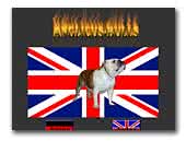 Anglicus-Bulls English Bulldog