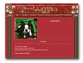 Anjyr's Russkiy Toys & Boston Terriers
