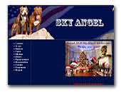 Sky Angel - Kennel Club APBT