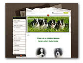 Kennel Artic shine
