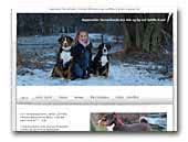 Ask og Eg Appenzeller Sennenhunde