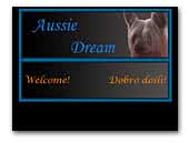 Aussie Dream Australian Silky Terriers