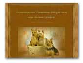 vom Zerbster Schloß Australian und Silky Terrier
