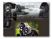 Avanglion FCi Newfoundland